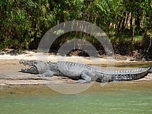 Australia, alligator river, kakadu