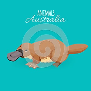 Australia animal brown crawling duckbilled platypus isolated on azure background