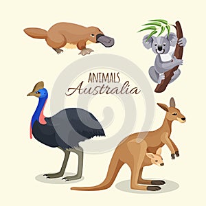 Australia animals collection of brown kangaroo, grey koala and duckbilled