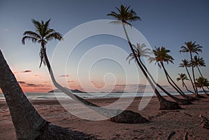 Australia beach