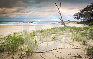 Australia Beach Sunrise photo
