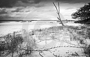 Australia Beach Sunrise Black and White photo