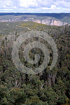 Australia: Blue Mountains bushland from Mount Banks