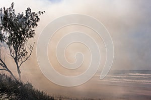 Australia bushfires in summer fire season