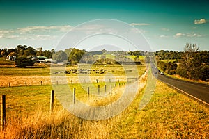 Australia countryside