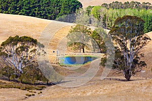 Australia countryside billabong