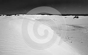 Australia: desert vegetation and sand dunes on Fraser Island in the Great Barrier Reef