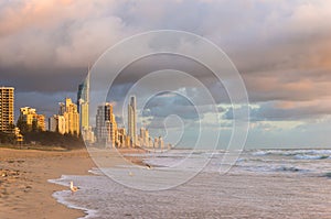 Australia, Gold Coast city sunrise from the beach