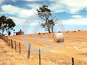 Australia landscape scenery background
