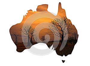 Australia map and boabab trees