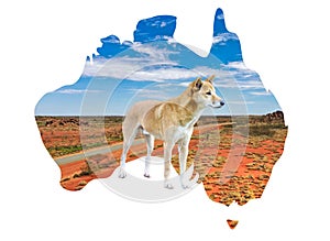 Australia map with outback country view and dingo