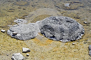 Australia, Nature, Stromatolites