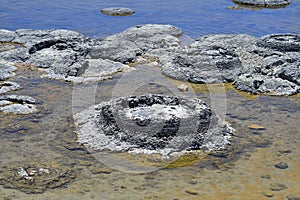 Australia, Nature, Stromatolites