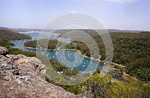 Australia, NSW, Ku-ring-gai Chase National Park