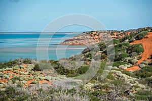 Australia northen territory landscape francois peron park