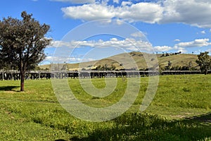 Australia, NSW, Gundagai, bridge