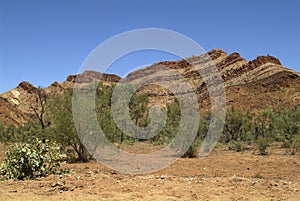 Australia, NT, East Mc Donnell Range,