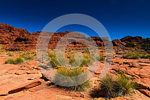 Australia outback landscape view