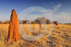 Australia, Outback, Northern Territory, Termite Mounds.