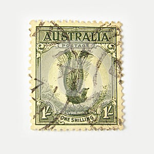 Australia postage stamp with lyrebird