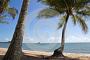 Australia, Queensland, Palm Cove, palm beach