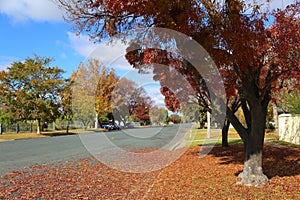 Australia's Deniliquin