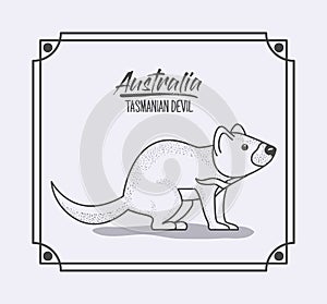 Australia tasmanian devil in frame and monochrome silhouette