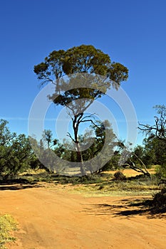 Australia, Victoria, outback road