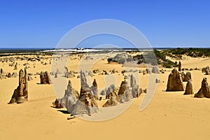 Australia, WA, The Pinnacles in Nambung National Park