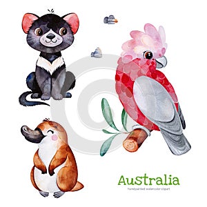 Cute collection with Tasmanian devil,platypus,cockatoo,stones photo