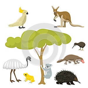 Australia wild animals cartoon popular nature characters flat style mammal collection vector illustration.