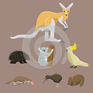 Australia wild animals cartoon popular nature characters flat style mammal collection vector illustration.