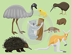 Australia wild animals cartoon popular nature characters flat style mammal collection vector illustration.