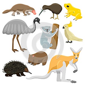 Australia wild animals cartoon vector collection