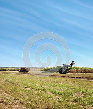 Australian agriculture sugarcane harvesting