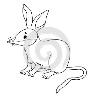 Australian animal bilby. Cute wild mammal. Vector illustration. Linear, outline drawing, coloring book. Kids collection.