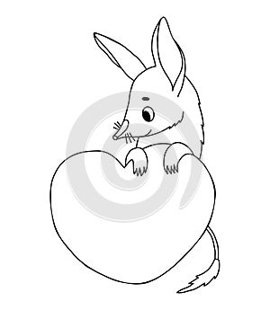 Australian animal bilby with heart. Valentine enamored character. Vector Linear, outline drawing, coloring book. Kids