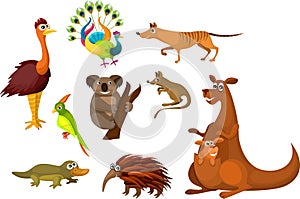 Australian animals
