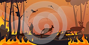 Australian animals silhouettes running from forest fires in australia wildfire bushfire burning trees natural disaster