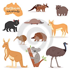 Australian animals vector animalistic character in wildlife Australia kangaroo koala and platypus illustration set of