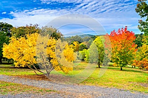 Australian autumn in Mount Lofty, Adelaide Hills