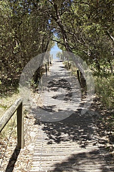 Australian Beach Path