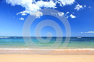 Australian Beach in summer