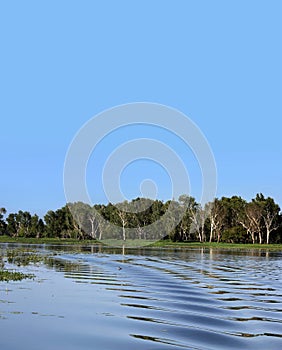 Australian billabong background