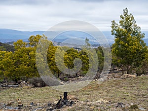 Australian bush clearing, featuring distant rolling hills, rugged landscape and patchy woodlands