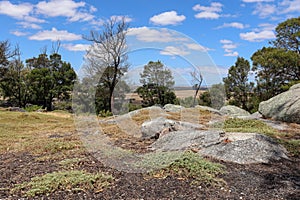 Australian bush landscape in You Yangs National Park with lush trees on a sunny day