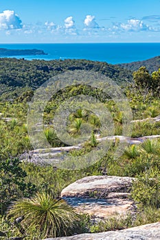 Australian Bush Lanscape with a View to the Sea