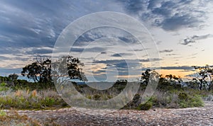Australian Bush Sunset Panorama with Tessellated Rock