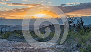 Australian Bush Sunset with Tessellated Rock