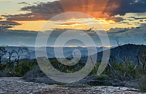 Australian Bush Sunset with Tessellated Rock